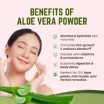 Ganpati Aloevera Powder