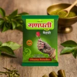 Ganpati Chap Mehendi