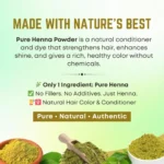 Ganpati Chap Mehendi