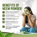 Ganpati Neem Powder