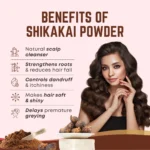 Ganpati Shikekai Powder