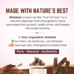 Ganpati Shikekai Powder